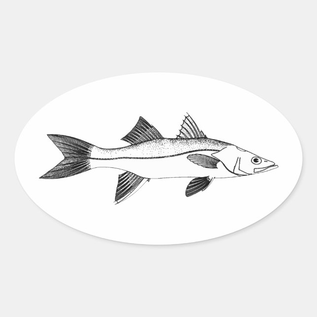 Vintage Saltwater Fishing - Snook Oval Sticker (Front)