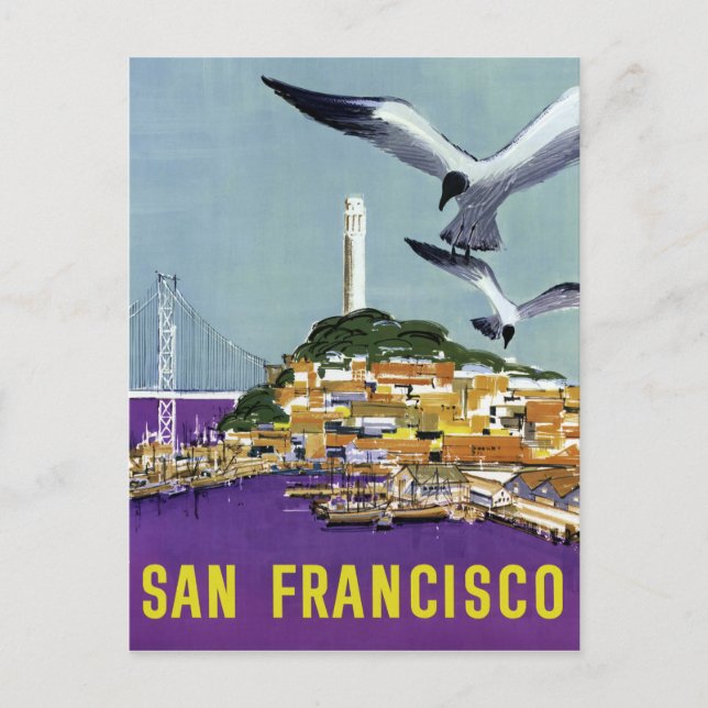 Vintage San Francisco Sea Gulls Travel Postcard (Front)