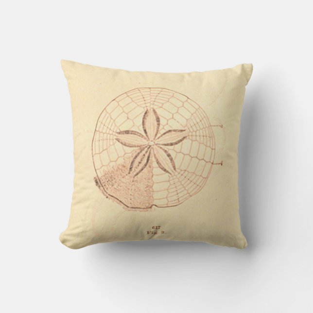 Vintage Sand Dollar Beach Illustration Cushion (Front)