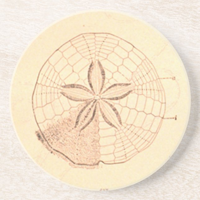 Vintage Sand Dollar Illustration coaster (Front)