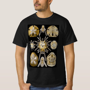 Vintage Sand Dollars Sea Urchins by Ernst Haeckel T-Shirt