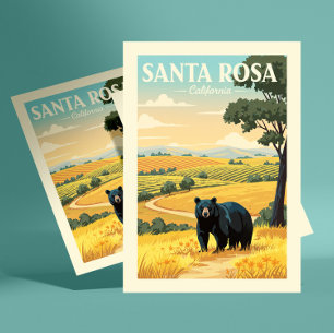 Vintage Santa Rosa California Postcard