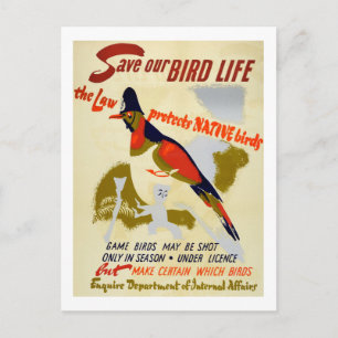 Vintage Save Native Wild Bird Life Postcard