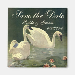 Vintage Save the Date! Beautiful Swans Swimming Magnet