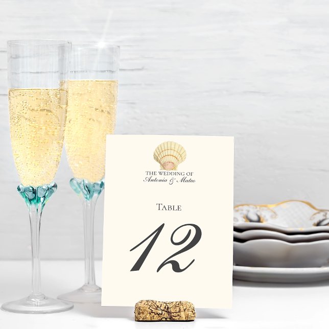 Vintage Scallop Single Seashell Wedding Table Number (Creator Uploaded)