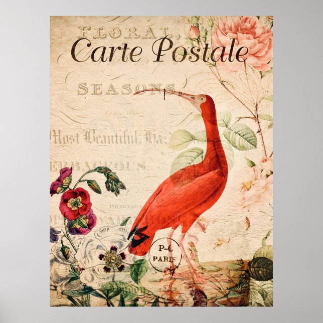Vintage Scarlet Ibis Bird French Floral Poster (Front)