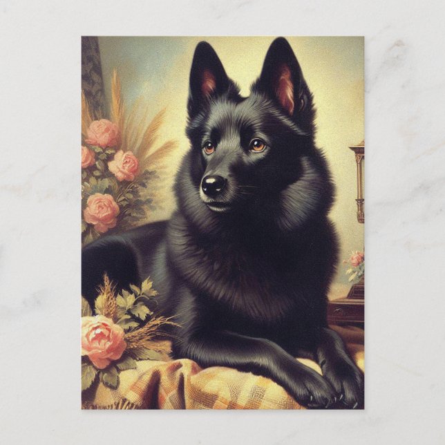 Vintage Schipperke Dog Painting Postcard (Front)
