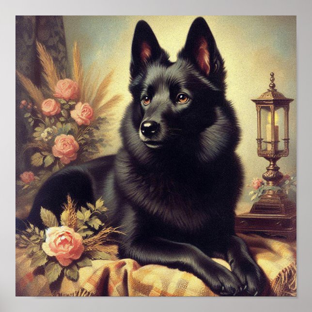 Vintage Schipperke Dog Painting Poster (Front)
