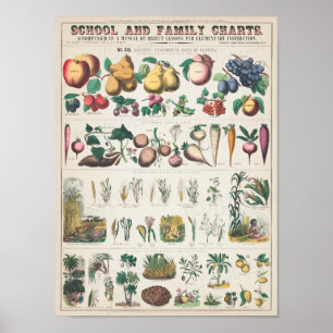Vintage School Chart for Homeschooling