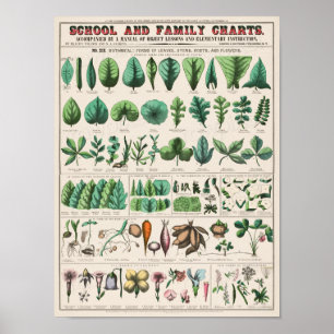 Vintage School Chart for Homeschooling