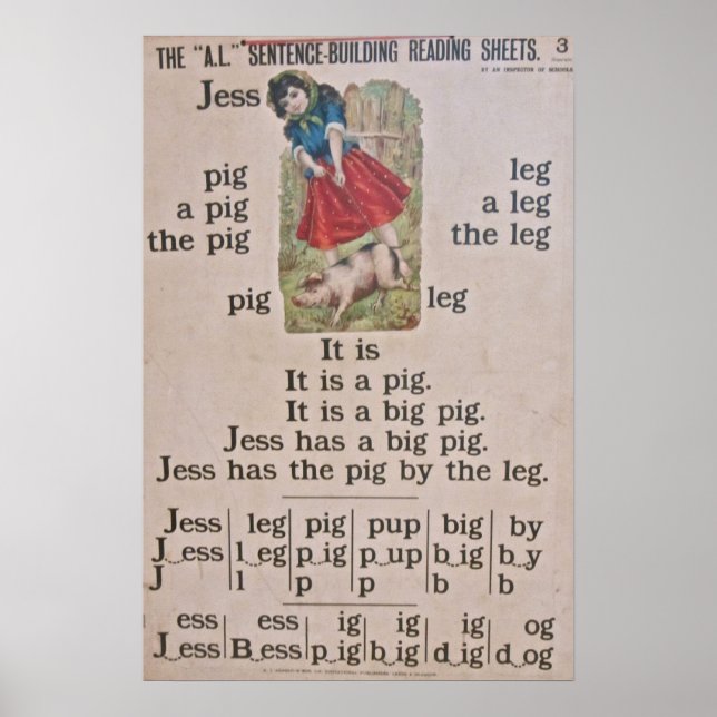 Vintage School Poster Poster (Front)