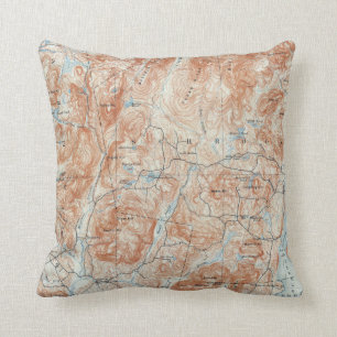 Vintage Schroon Lake New York Topographical Map Cushion