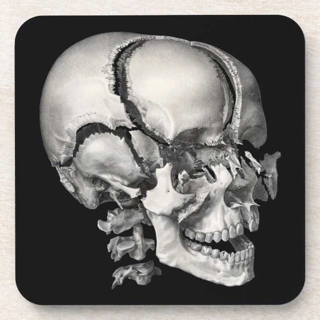 Vintage Science Human Anatomy, Antique Skull Coaster (Front)