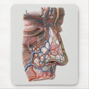 Vintage Science Human Anatomy, Face with Nose Mouse Mat