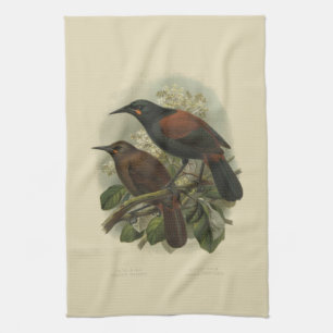 Vintage Science NZ Birds - Saddleback Tea Towel