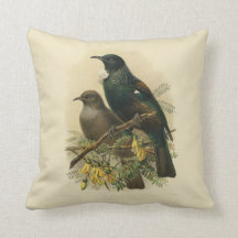 Vintage Science NZ Birds - Tui