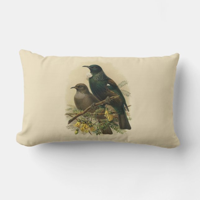 Vintage Science NZ Birds - Tui Lumbar Cushion (Front)