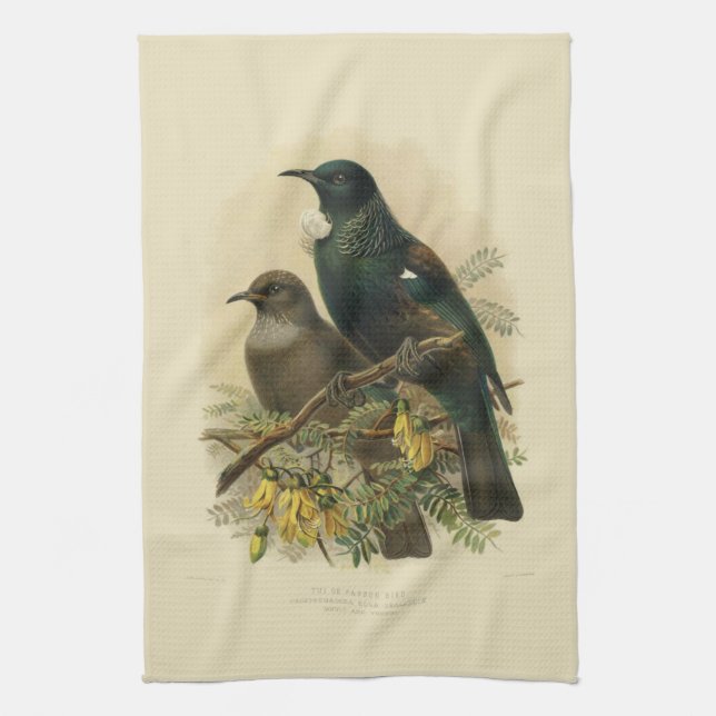 Vintage Science NZ Birds - Tui Tea Towel (Vertical)
