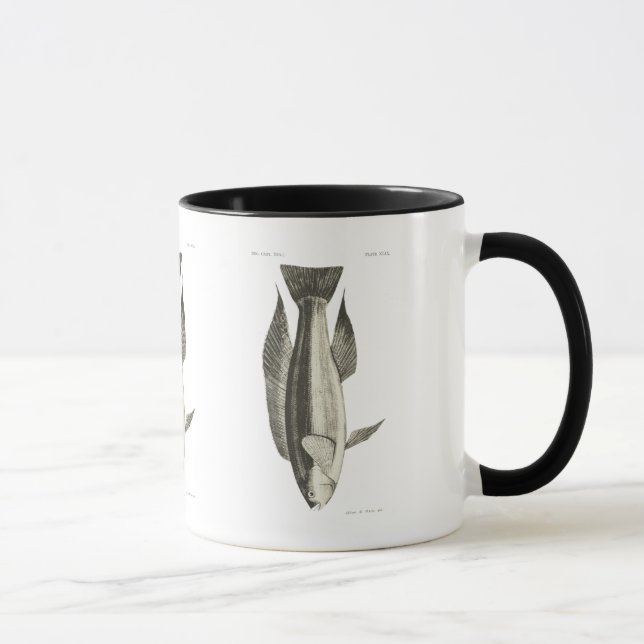 Vintage Science NZ Fish - Greenbone Mug (Right)