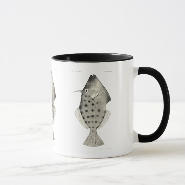 Vintage Science NZ Fish - Smooth Leatherjacket Mug (Right)