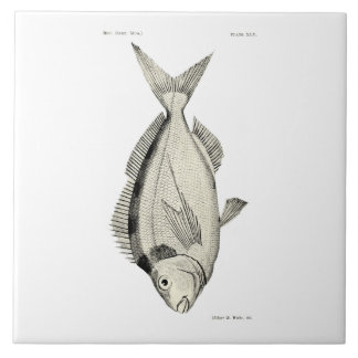 Vintage Science NZ Fish Tarakihi Tile