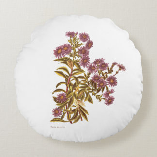 Vintage Science NZ Flowers - Olearia semidentata Round Cushion