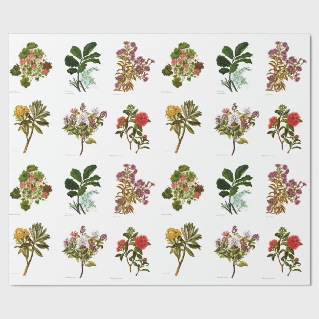 Vintage Science NZ Flowers Wrapping Paper (Flat)