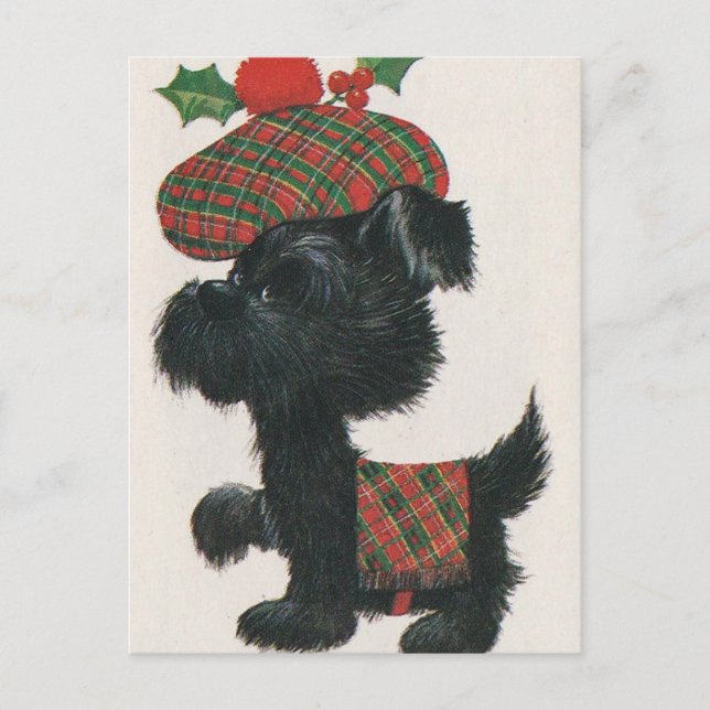Vintage Scottie Dog Postcard (Front)