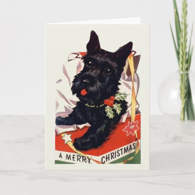 Vintage Scottish Terrier Christmas Greeting Card (Front)