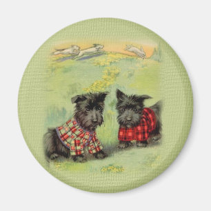 Vintage Scottish Terrier Round Magnet