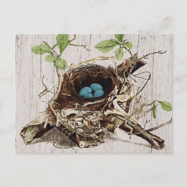vintage script ephemera bird nest french botanical postcard (Front)