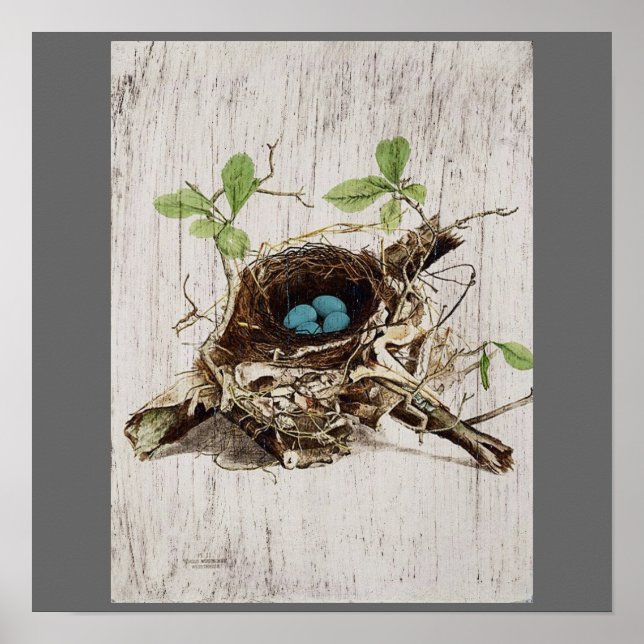 vintage script ephemera bird nest french botanical poster (Front)
