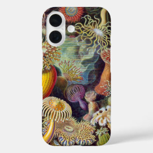 Vintage Sea Anemones, Actiniae by Ernst Haeckel iPhone 16 Case