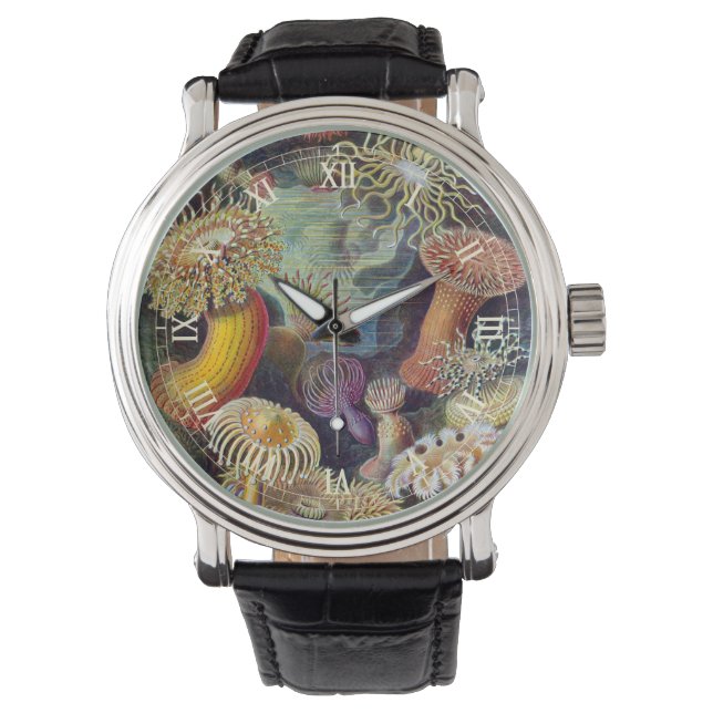 Vintage Sea Anemones, Actiniae by Ernst Haeckel Watch (Front)