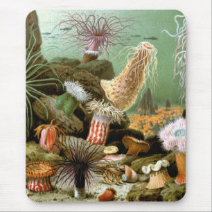 Vintage Sea Anemones, Marine Life Ocean Animals Mouse Mat