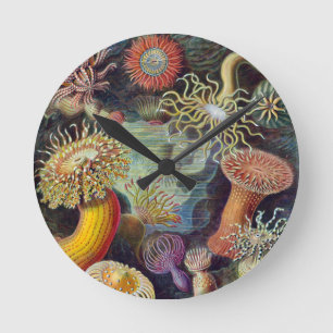 Vintage sea anemones scientific illustration round clock