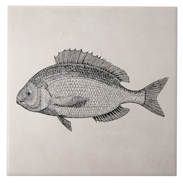 Vintage Sea Bream Fish Retro Fishes Template Tile (Front)