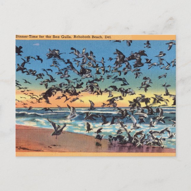 Vintage, Sea Gulls, Rehoboth Beach, Delaware Postcard (Front)