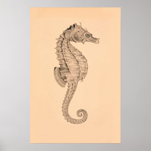 Vintage Sea Horse Diptych I Poster