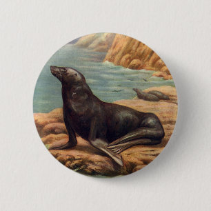 Vintage Sea Lion by the Seashore, Marine Mammals 6 Cm Round Badge