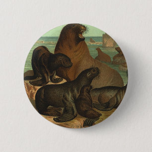 Vintage Sea Lions on the Beach, Marine Life Animal 6 Cm Round Badge