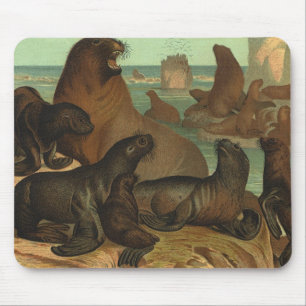Vintage Sea Lions on the Beach, Marine Life Animal Mouse Mat