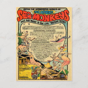 Vintage Sea Monkeys Advertisement Postcard