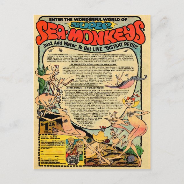 Vintage Sea Monkeys Advertisement Postcard (Front)
