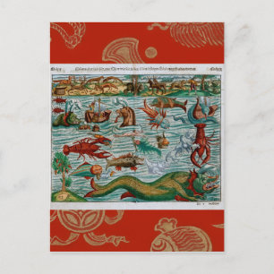 Vintage Sea Monsters Postcard