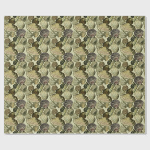 vintage sea shell art wrapping paper