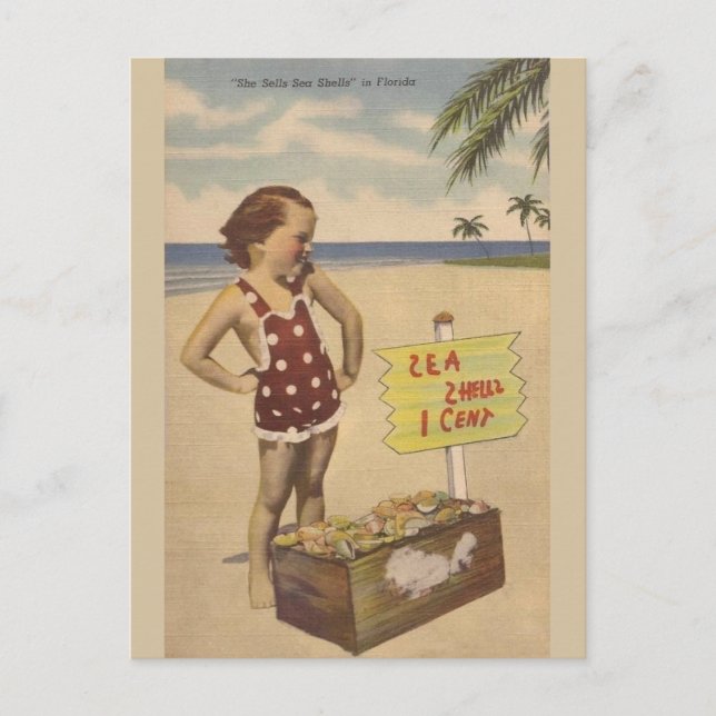 Vintage Sea Shells Florida Post Card (Front)