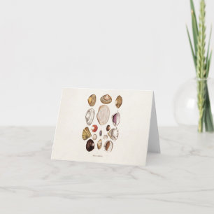 Vintage Sea Shells Personalised Retro Clam Shell Card