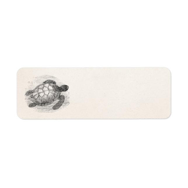 Vintage Sea Turtle Personalised Marine Turtles (Front)