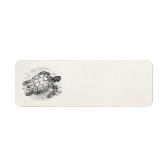 Vintage Sea Turtle Personalised Marine Turtles Return Address Label